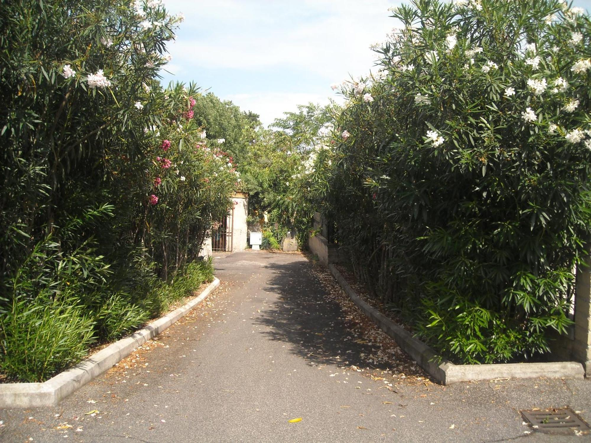 Studioflat Battistini * Rom